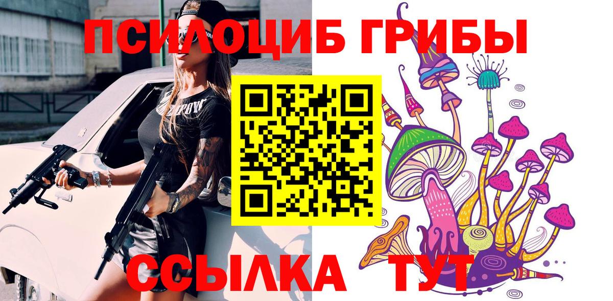 Галлюциногенные грибы прущие грибы  Вход с VPN  Тайшет 